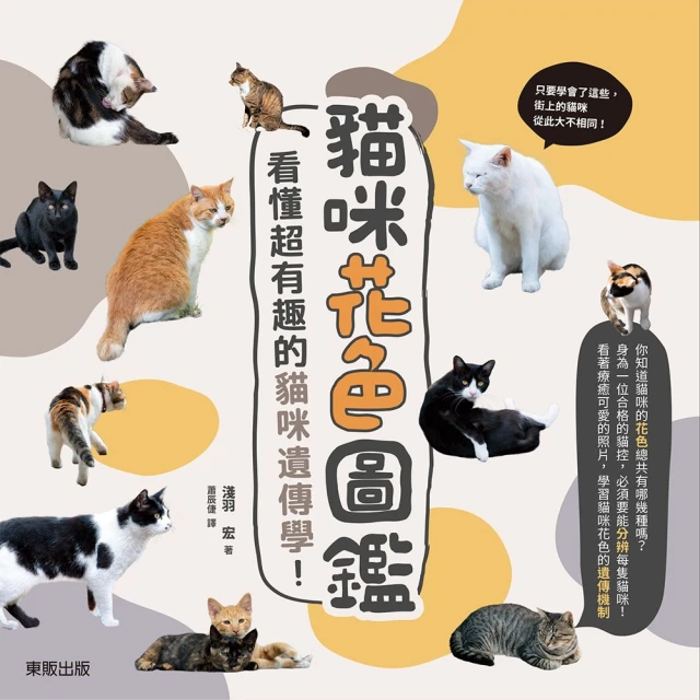 貓的遺產上 鄉下來的狸花貓先生<啃書> 歷史價格詳細信息