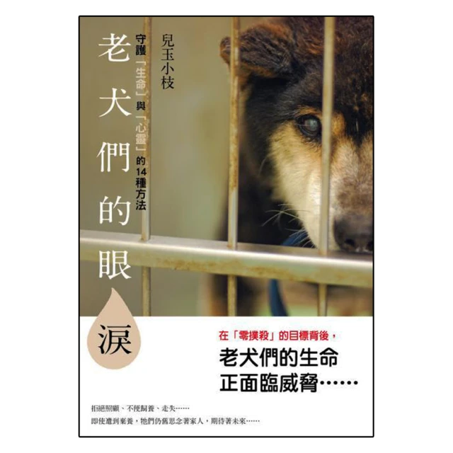 守護生命的關鍵力量：醫療幕後英雄醫工師 歷史價格詳細信息