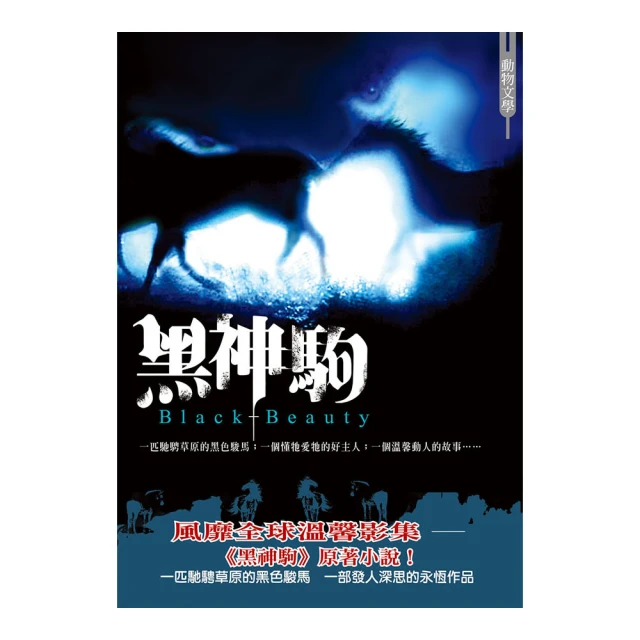 黑神駒 black beauty 美國原版電影海報雙面印刷絕版品 迪士尼電影 個人收藏 有瑕疵 低價出清 歷史價格詳細信息