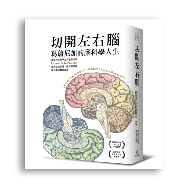 詹尼 詹妮 吉他 M33 40寸41寸 單板面單民謠吉他 新手入門 歷史價格詳細信息