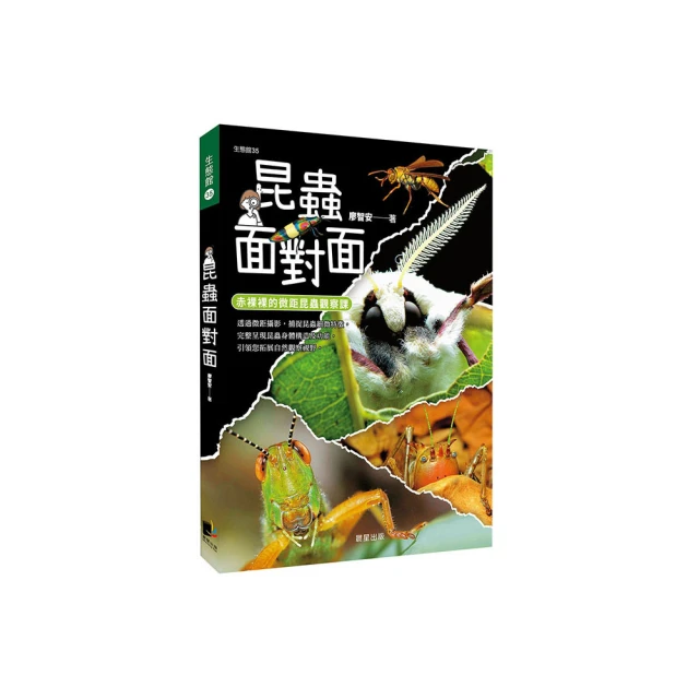 面對面 蓋西文 伯恩斯坦等作曲家改編曲 羅曼雷路 Leleu Sextet Face to face HMM905344 歷史價格詳細信息