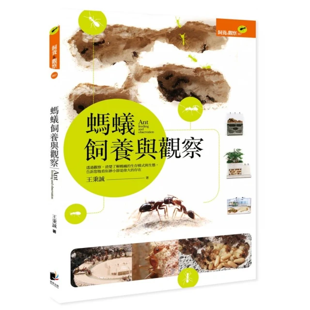 螞蟻與蚱蜢 The Grasshopper & the Ant 高雄龐奇桌遊 歷史價格詳細信息