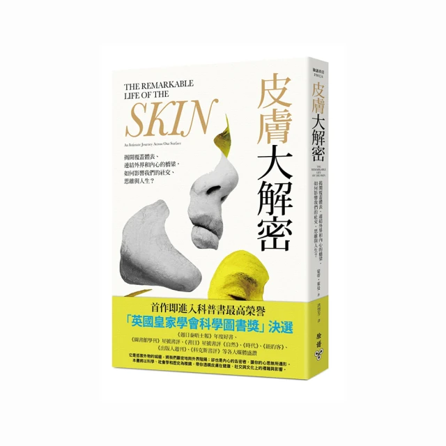 蓋梁墩柱平臺路橋手腳架箱式隧道爬梯工地建築組合式基坑安全梯籠 歷史價格詳細信息