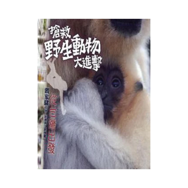 搶進美食街，年賺1,000萬 /張志誠 歷史價格詳細信息
