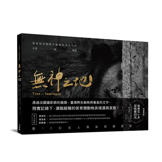 野生眉神器FLORTTE/花洛莉亞怪美四叉小畫家刀鋒水眉筆持 歷史價格詳細信息