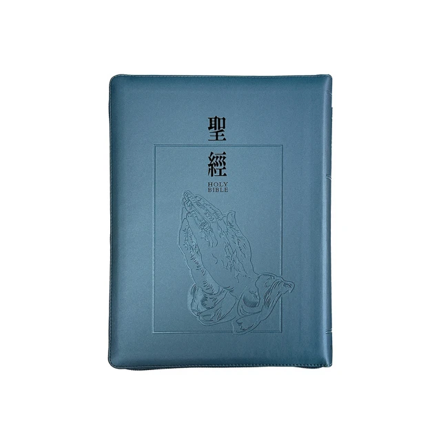 聖經-和合本（灰咖金皮面大字紅字索引精裝） 歷史價格詳細信息