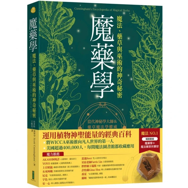 幾何魔法師 腦力激盪益智拼盤 專利號碼:146245 積木 拼圖 正版桌上遊戲 歷史價格詳細信息