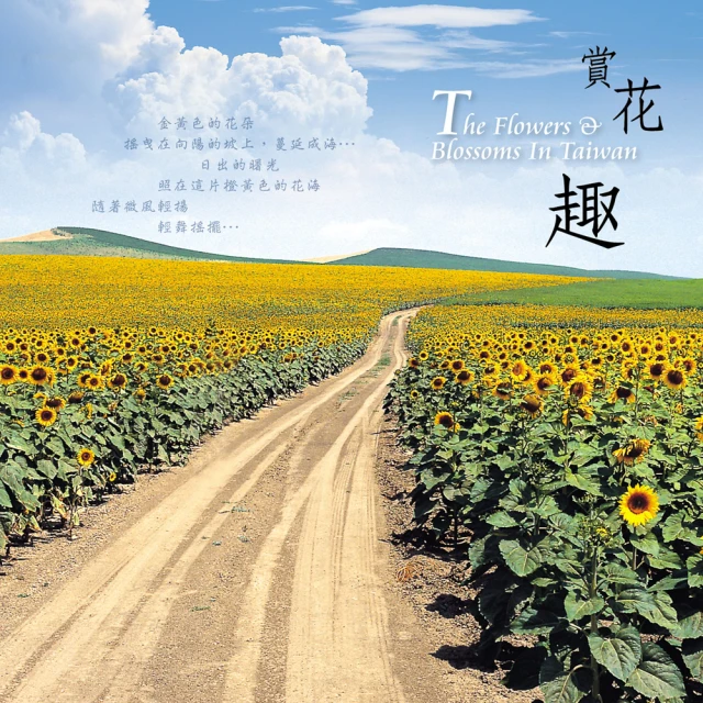 音樂旅途遊記 賀斯費爾德 Rossfelder Carnets de voyage MIR432 歷史價格詳細信息
