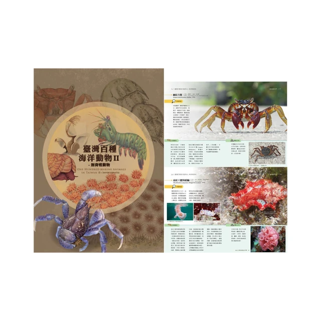 臺灣百馬33Y氣動打磨機 拋光機 卡盤研磨機 低速碗型 紐扣砂 砂碟 歷史價格詳細信息