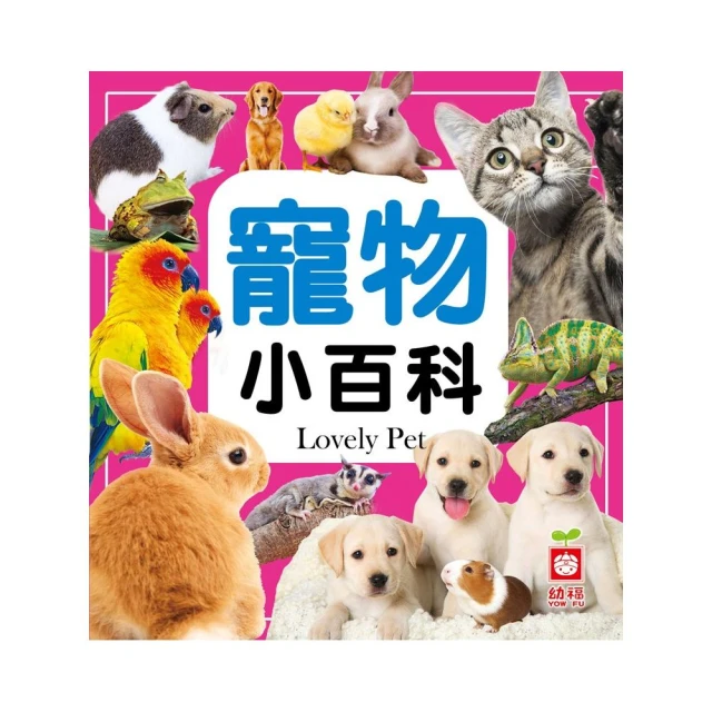 寵物小jing靈神奇寶貝小智cosplayfu手tao外tao動漫fu裝新版cfu 歷史價格詳細信息