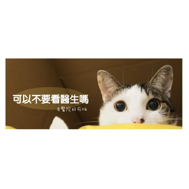 【Hahow 好學校】醫學簡報快製力 歷史價格詳細信息