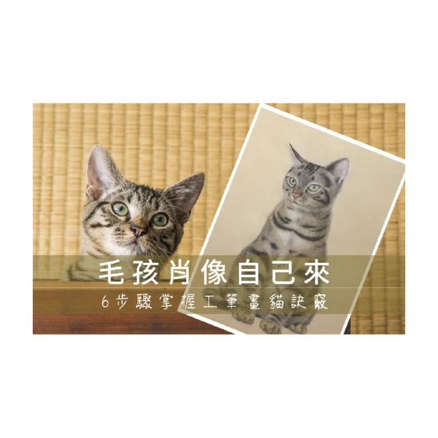【Hahow 好學校】工作型 PPT 速成：超省時簡報製作 50 招 歷史價格詳細信息