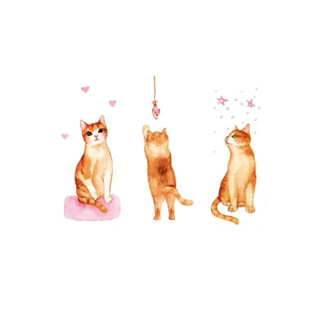 學校物理信號屏蔽櫃智能面部識別屏蔽信號手機存放手機屏蔽櫃 歷史價格詳細信息