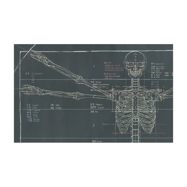 【Hahow 好學校】藝用解剖學 2 - 凝望透視之眼 360 度全視野攻略 歷史價格詳細信息