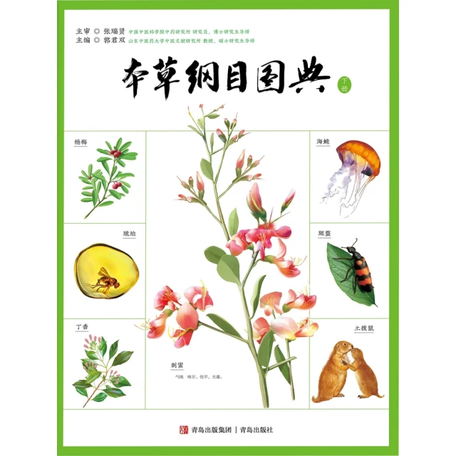 【momoBOOK】非本科系六連榜司法官學霸告訴你：這樣做就只能上榜了啊！(電子書) 歷史價格詳細信息