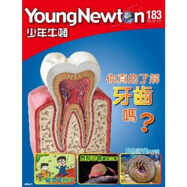 183.12月份特價古董油浸西電電源線+本店訂製版1050芯鍍厚銀並聯喇叭線原價16000特價8000元 歷史價格詳細信息
