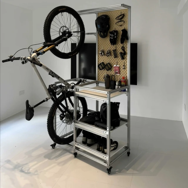 【運動收納哥】日本原裝進口 自然木2輛自行車可移動自行車掛架(自行車展示架) 歷史價格詳細信息