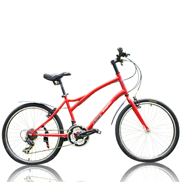 【AiBIKE】已通過EN14764測試 24吋 6速 樂活親子車 歷史價格詳細信息