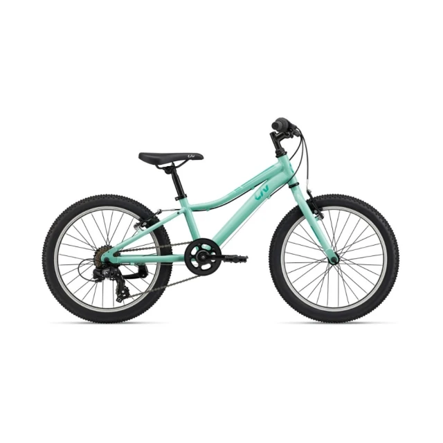 【GIANT】Liv ENCHANT 20 LITE 青少年越野自行車 歷史價格詳細信息