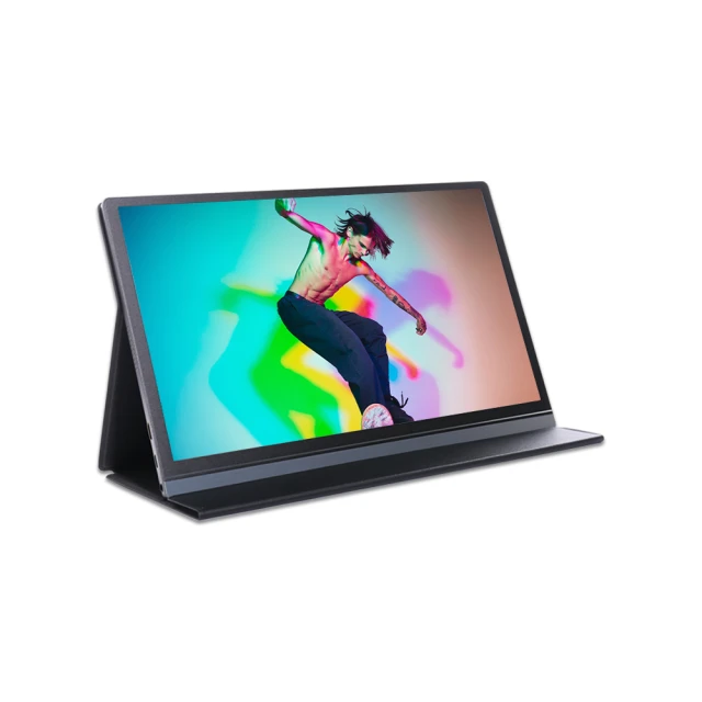 日本Winten 15.6吋超薄型可攜式外接螢幕 (Switch主機外接螢幕/Type-C/附可立式皮套) 歷史價格詳細信息