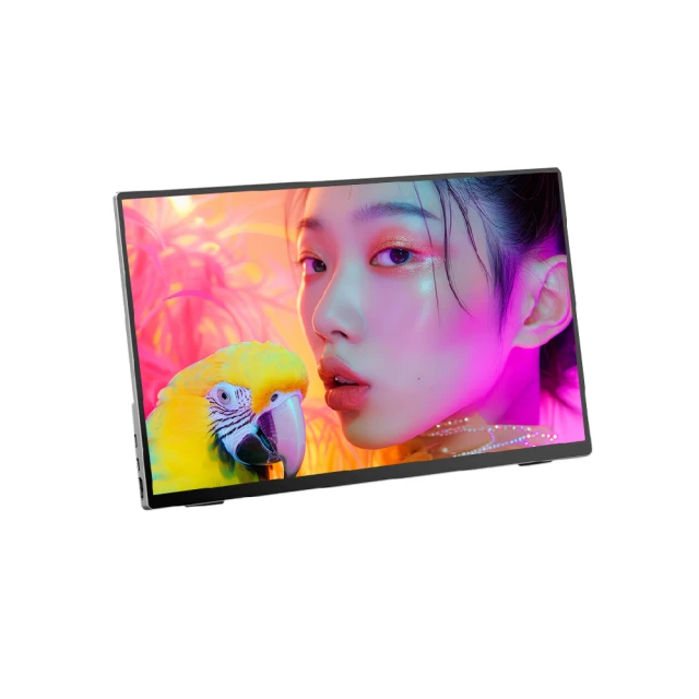 日本Winten 15.6吋超薄型可攜式外接螢幕 (Switch主機外接螢幕/Type-C/附可立式皮套) 歷史價格詳細信息