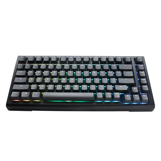 Ducky ProjectD Tinker 65 RGB 65% 有線套件鍵盤 靜音紅軸 中文 英文 歷史價格詳細信息