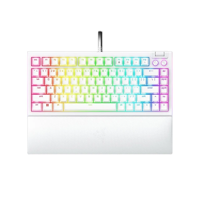 【Razer 雷蛇】BlackWidow V4 黑寡婦蜘幻彩版有線電競鍵盤(綠軸) 歷史價格詳細信息