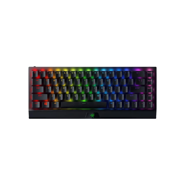 RAZER BLACKWIDOW 雷蛇 黑寡婦蜘蛛 V3 機械式RGB鍵盤-綠軸 + STRIDER L 凌甲蟲滑鼠墊 L 歷史價格詳細信息