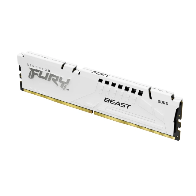 Kingston 金士頓 32GB DDR5 5600 FURY Beast 獸獵者 CL36 黑 記憶體 /紐頓e世界 歷史價格詳細信息