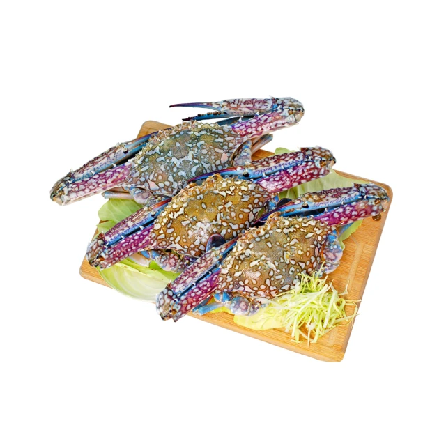 【優鮮配】斯里蘭卡頂級蝦姑6隻(200g-250g/隻) 歷史價格詳細信息