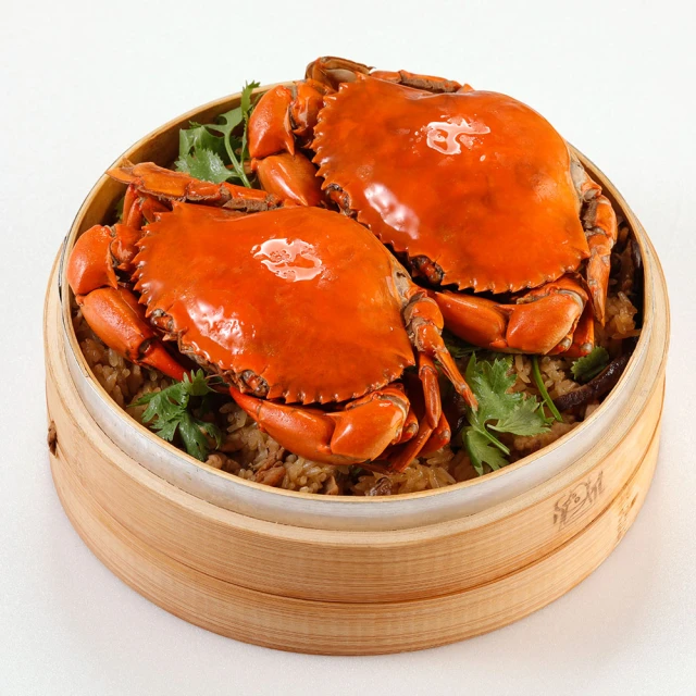 【爆水精華組】CQ 絲絨奶霜液態粉餅3入| 官方旗艦店 歷史價格詳細信息