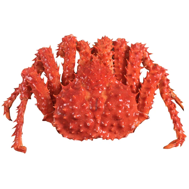 蟹霸王 繁體中文版 台北陽光桌遊商城 歷史價格詳細信息