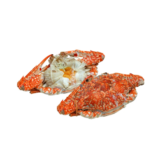 【優鮮配】斯里蘭卡頂級蝦姑6隻(200g-250g/隻) 歷史價格詳細信息