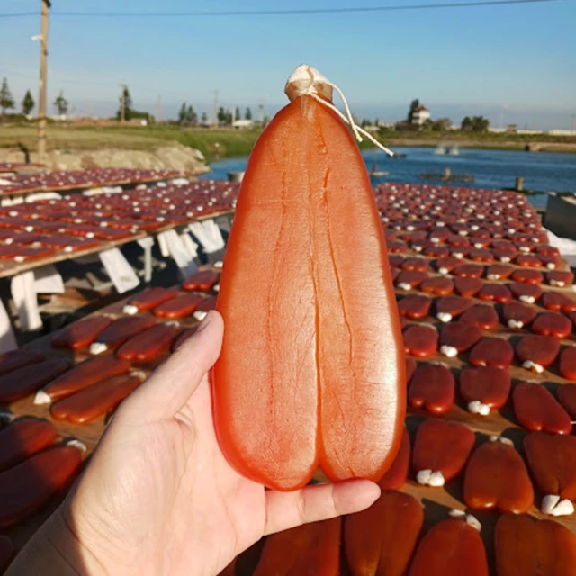 【Coastline】60*150*52cm高碳鋼加厚折疊戶外露營桌(折疊桌 餐桌 烤肉桌子 摺疊桌 野餐桌 蛋捲桌) 歷史價格詳細信息