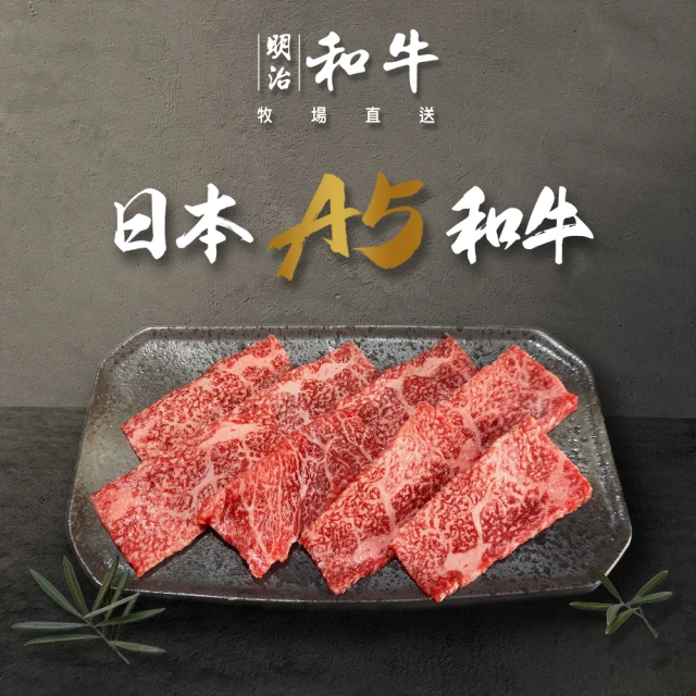 【日本和牛】日本A5和牛肉品頂級饗宴任選2組(和牛骰子/和牛漢堡排/和牛烤片/和牛紐約客/烤肉必備) 歷史價格詳細信息