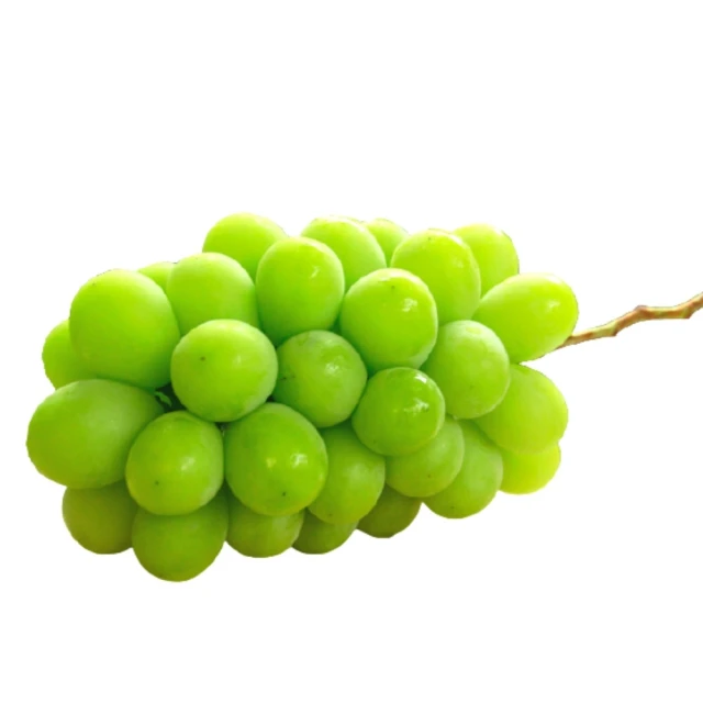 【阿成水果】紐西蘭樂淇管裝小蘋果5粒/205g/管x8(無蠟_爽脆多汁_冷藏配送) 歷史價格詳細信息