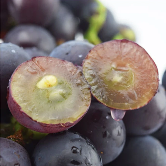 【果之家】燕巢特選AA+級蜜棗8顆禮盒x8盒(單顆約130g) 歷史價格詳細信息