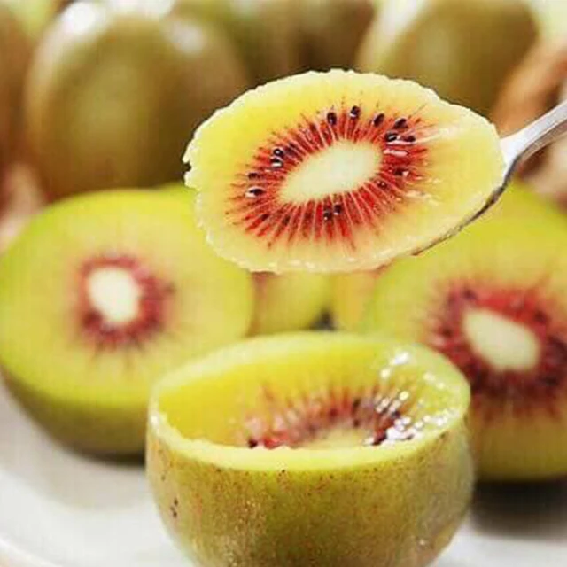 (5盒)美國Aquapel-免雨刷6倍耐久抗污汽車玻璃撥水劑8ml/盒 歷史價格詳細信息