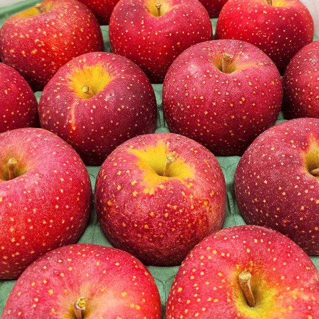 ＊WANG＊日本Petz Route沛滋露 舞動極光七轉八起《愛心/星星》貓咪玩具 二款可選 歷史價格詳細信息