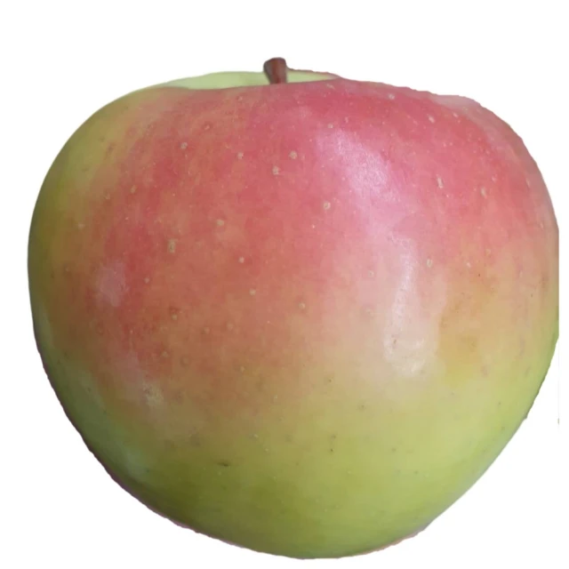 日本 龜田柿種米果-山葵風味(164g) 歷史價格詳細信息