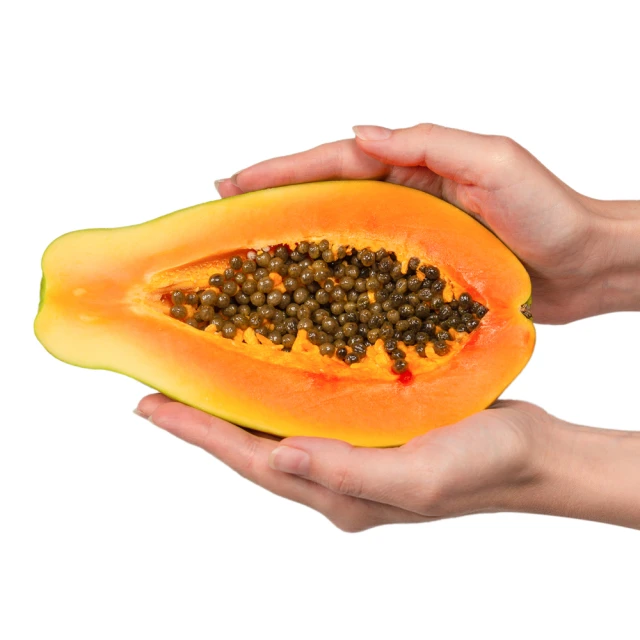 木瓜栽培管理技術 行政院農業委員會台南區農改場 育種栽培 病蟲害 土壤肥料 設施 專家撰寫 五南文化廣場 政府出版品 歷史價格詳細信息