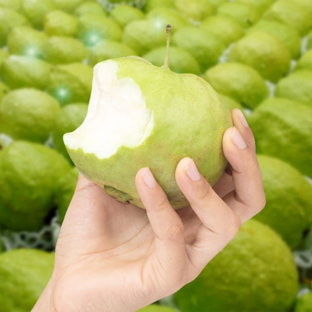 【果農直送】台灣頂級A+紅心芭樂(5斤/箱) 歷史價格詳細信息