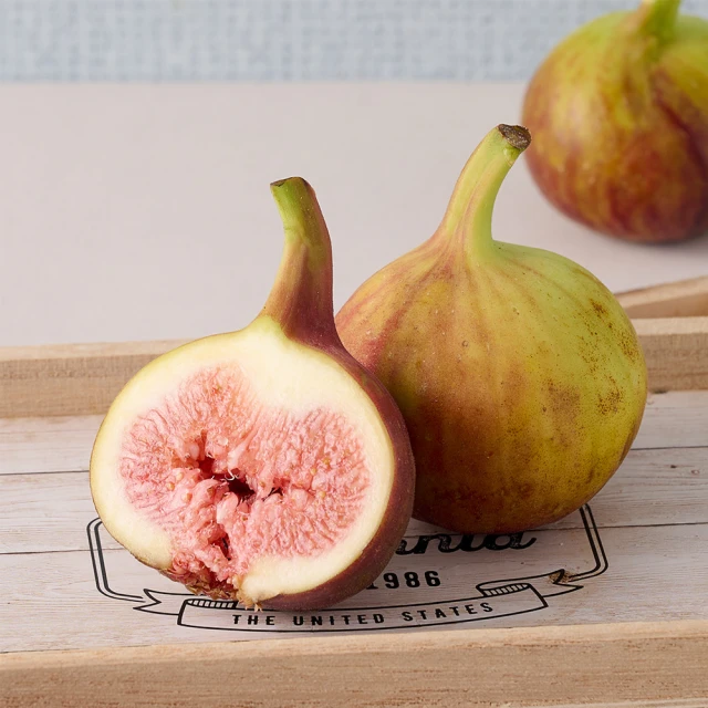 【吉屋GEO All】雲林縣無花果兩斤x1箱(約12~28顆/箱_生命之果_冷藏) 歷史價格詳細信息