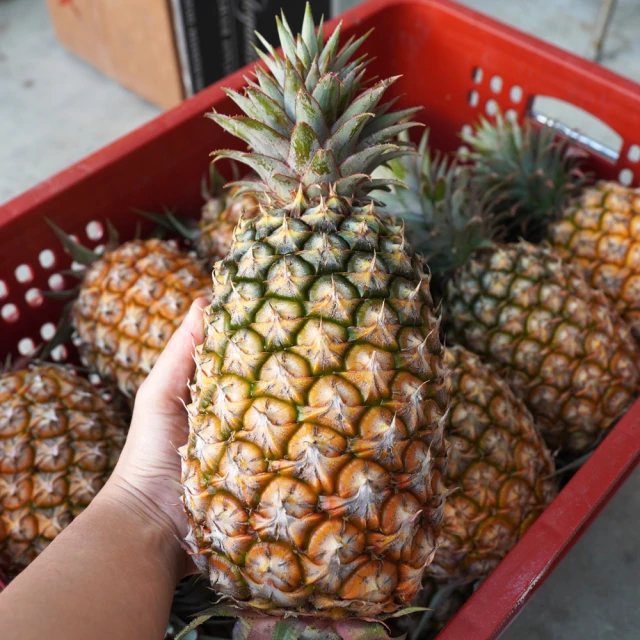 大小皆有十八羅漢佛像樹脂佛像18羅漢伏虎羅漢降龍羅漢18羅漢神像 歷史價格詳細信息