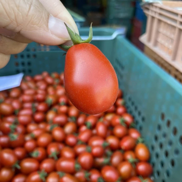 【初品果】美濃達哥橙蜜香小番茄禮盒4斤x1盒(季節限定_產銷履歷_年節禮盒) 歷史價格詳細信息