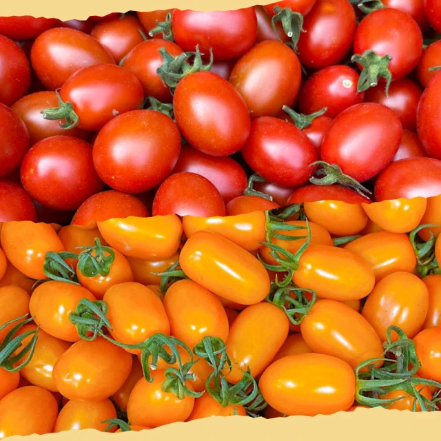 【初品果】美濃達哥橙蜜香小番茄禮盒4斤x1盒(季節限定_產銷履歷_年節禮盒) 歷史價格詳細信息