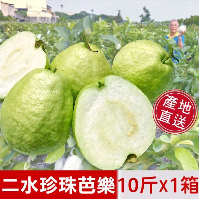 【阿旺芭樂】二水產地現採直銷-濁水溪珍珠芭樂-送禮自吃首選水果禮盒10台斤/一箱 歷史價格詳細信息