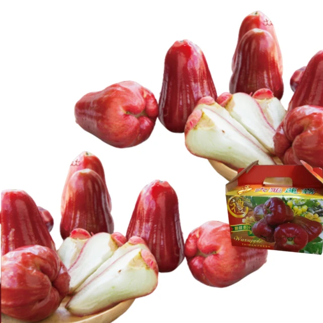 Lv新款高彈力健身短款瑜伽服運動套裝~小背心➕修身提臀顯瘦打底褲腳  S M L 歷史價格詳細信息