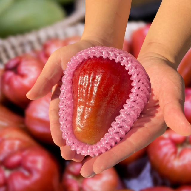 【六龜蓮霧-產地新鮮直送】LV級黑糖芭比禮盒/大果-5台斤/盒(大果-約16顆~18顆/盒) 歷史價格詳細信息