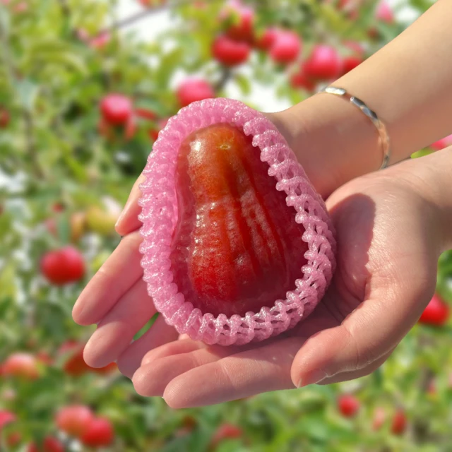 【六龜蓮霧-產地新鮮直送】LV級黑糖芭比禮盒/大果-5台斤/盒(大果-約16顆~18顆/盒) 歷史價格詳細信息